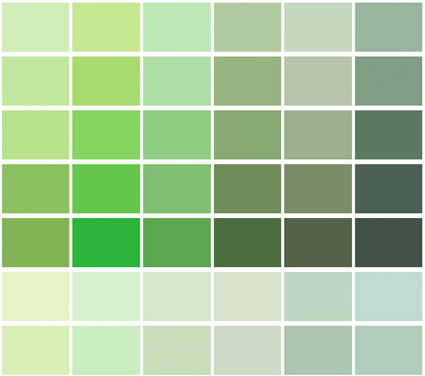 answer_image